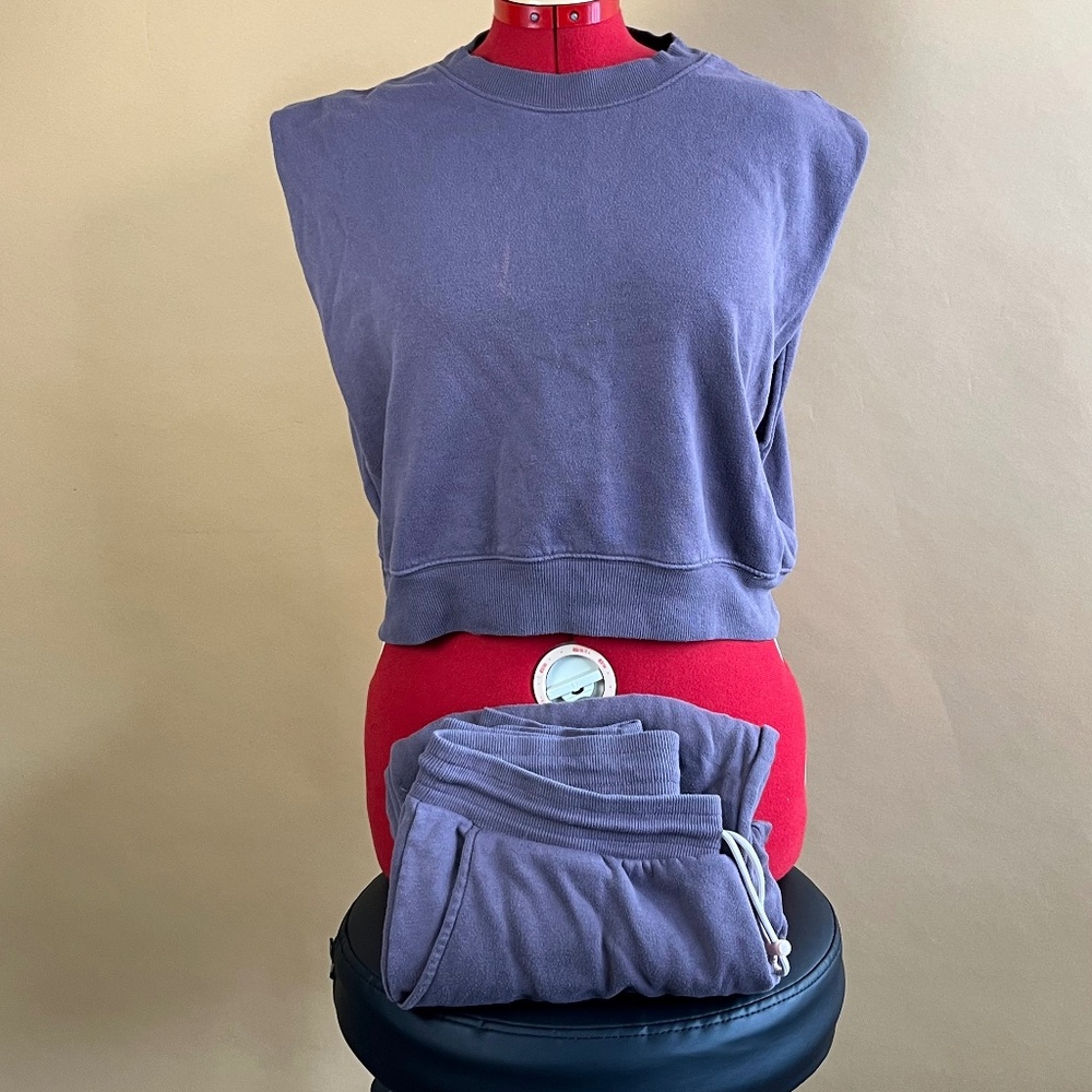 Wild Fable Sweatpants and Crop Top Set - Large, Purple